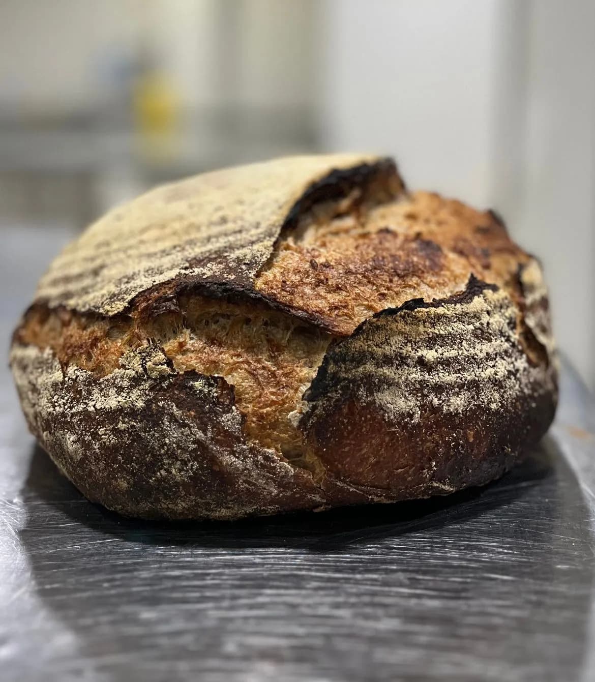PAN DE CAMPO