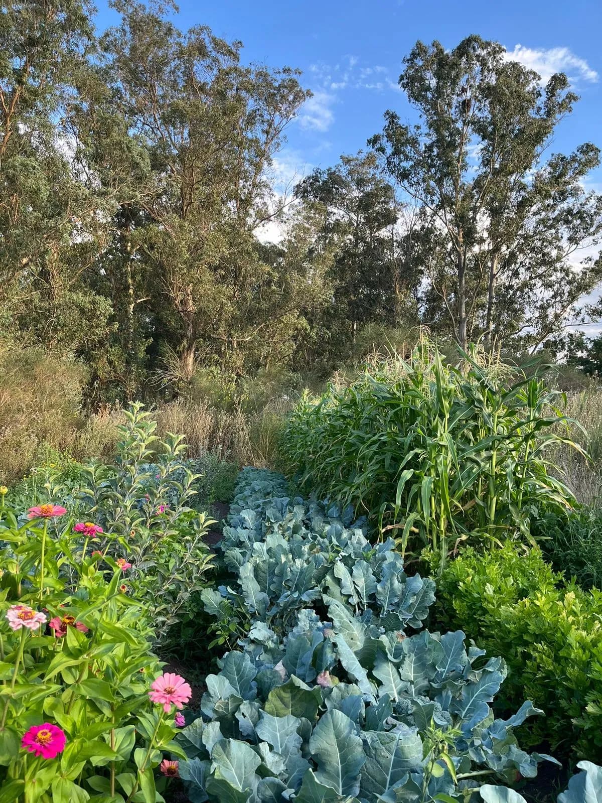 Agricultura Agroecológica